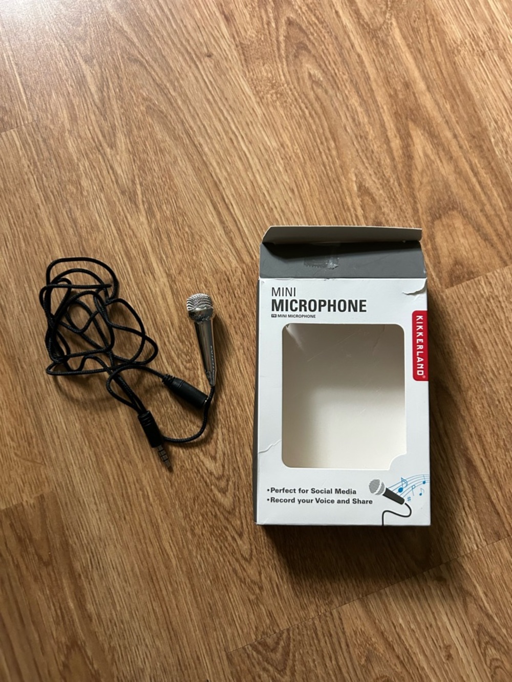 Kikkerland Mini Microphone in Silver and Black